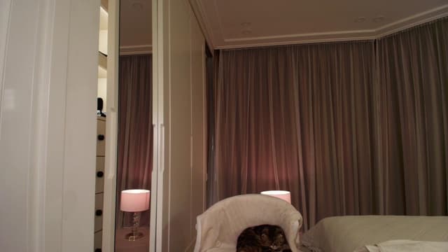 Gallery image thumbnail from Muse_'s myfreecams stream on, 03/22/2026, 19:43 image 20 of 20
