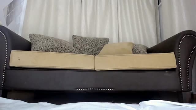 Gallery image thumbnail from NIVEA's myfreecams stream on, 02/26/2023, 14:14 image 20 of 20