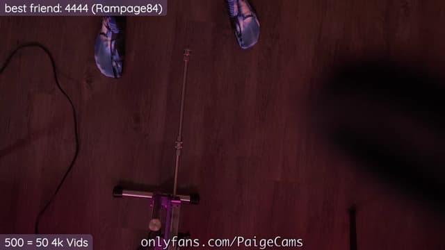 Gallery image thumbnail from Paige's myfreecams stream on, 11/05/2023, 05:03 image 5 of 20
