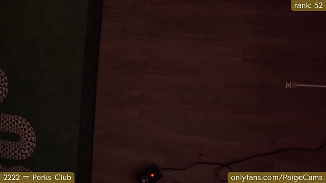 Gallery image thumbnail from Paige's myfreecams stream on, 11/18/2023, 07:06 image 14 of 20