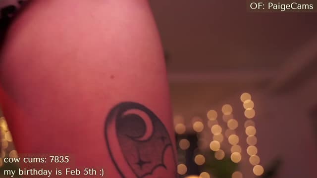 Gallery image thumbnail from Paige's myfreecams stream on, 02/03/2024, 04:44 image 9 of 20