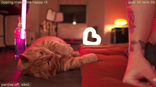 Gallery image thumbnail from Paige's myfreecams stream on, 02/13/2024, 04:15 image 9 of 20