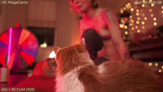 Gallery image thumbnail from Paige's myfreecams stream on, 02/13/2024, 08:19 image 17 of 20