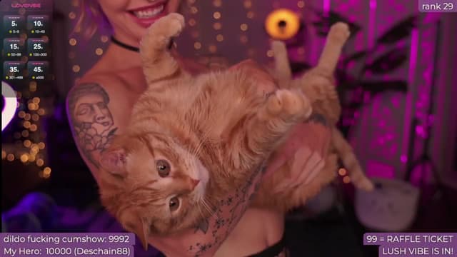 Gallery image thumbnail from Paige's myfreecams stream on, 08/18/2024, 05:26 image 6 of 20