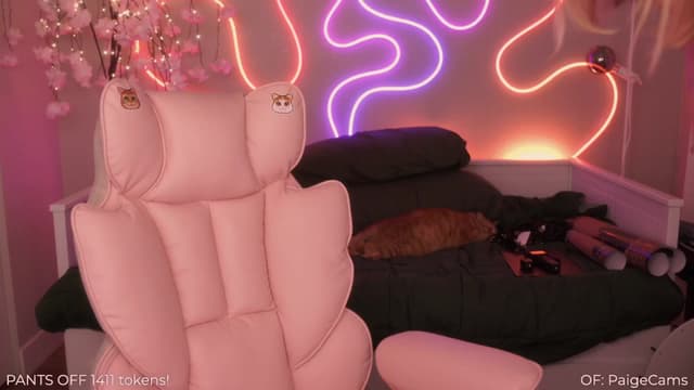 Gallery image thumbnail from Paige's myfreecams stream on, 02/19/2025, 05:00 image 16 of 20