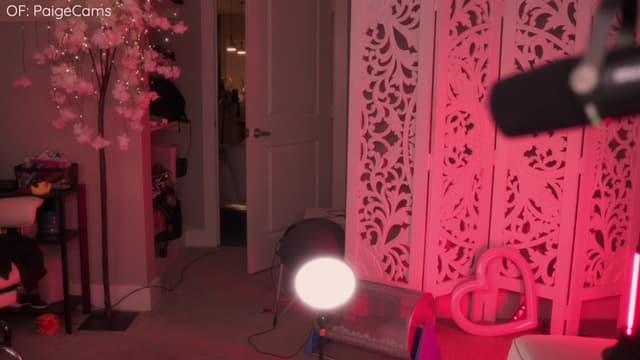Gallery image thumbnail from Paige's myfreecams stream on, 01/06/2026, 06:22 image 3 of 20