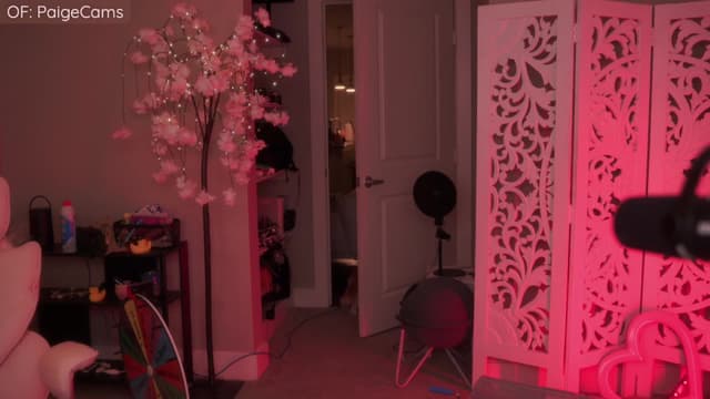Gallery image thumbnail from Paige's myfreecams stream on, 01/08/2026, 04:41 image 19 of 20