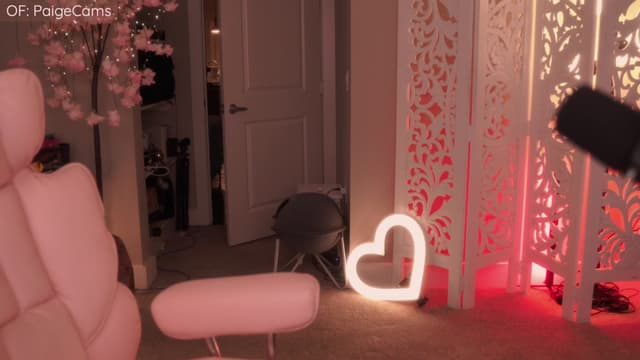 Gallery image thumbnail from Paige's myfreecams stream on, 04/14/2026, 01:58 image 12 of 20
