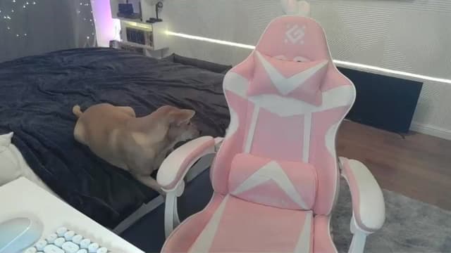 Gallery image thumbnail from Qi_ra's myfreecams stream on, 12/22/2025, 22:44 image 13 of 20
