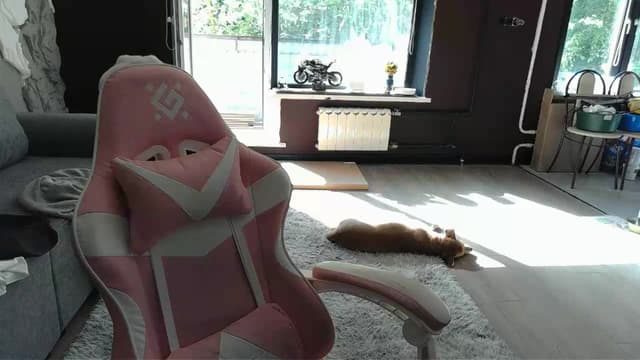 Gallery image thumbnail from Qi_ra's myfreecams stream on, 05/19/2026, 13:40 image 4 of 20