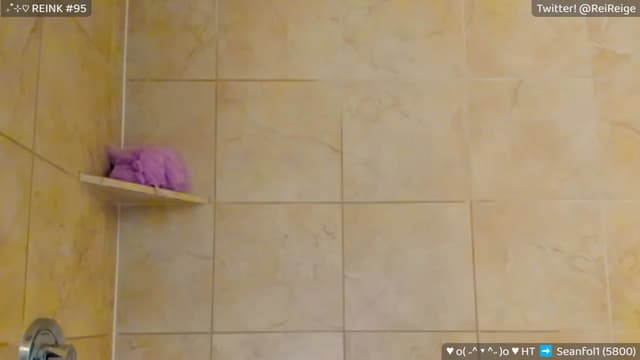 Gallery image thumbnail from Reige's myfreecams stream on, 09/24/2023, 12:47 image 15 of 20