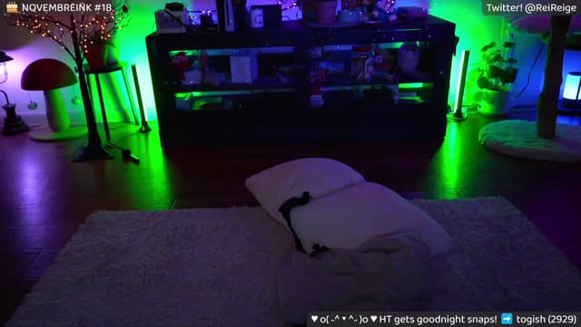 Gallery image thumbnail from Reige's myfreecams stream on, 11/11/2023, 13:54 image 4 of 20