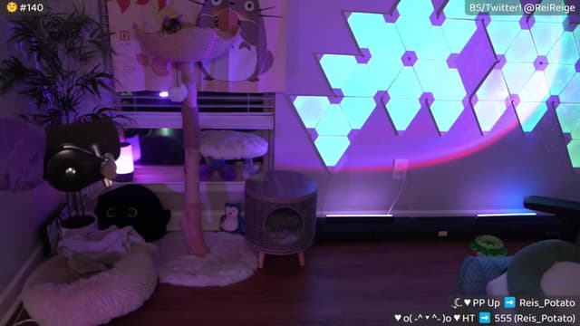 Gallery image thumbnail from Reige's myfreecams stream on, 09/01/2025, 11:58 image 13 of 20