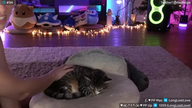 Gallery image thumbnail from Reige's myfreecams stream on, 01/13/2026, 11:47 image 10 of 20