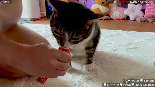 Gallery image thumbnail from Reige's myfreecams stream on, 02/21/2026, 17:28 image 6 of 20