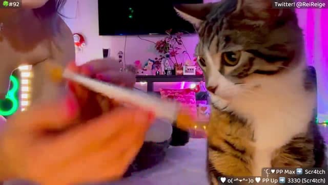 Gallery image thumbnail from Reige's myfreecams stream on, 03/01/2026, 10:02 image 11 of 20