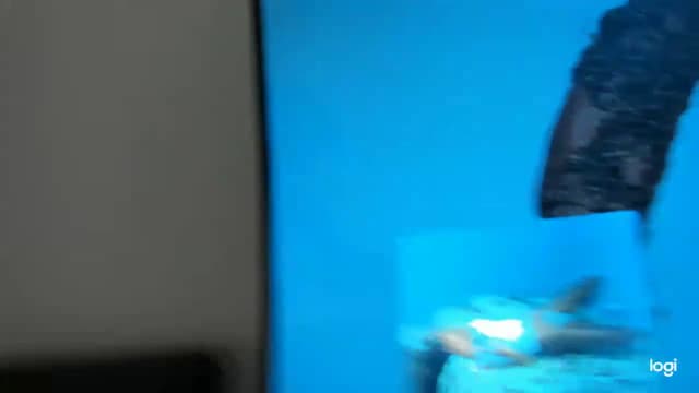 Gallery image thumbnail from Seven's myfreecams stream on, 11/18/2022, 05:29 image 3 of 20