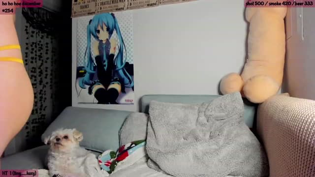 Gallery image thumbnail from SeySo's myfreecams stream on, 12/11/2022, 05:38 image 2 of 20