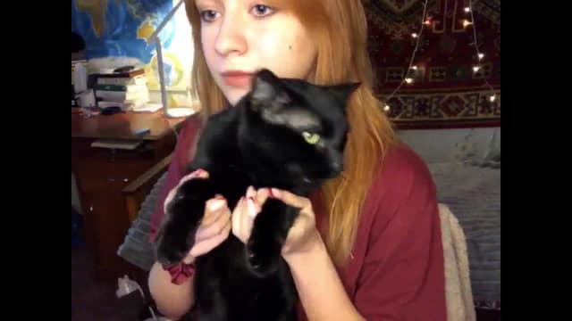 Gallery image thumbnail from Sia_A's myfreecams stream on, 12/08/2024, 11:03 image 17 of 20