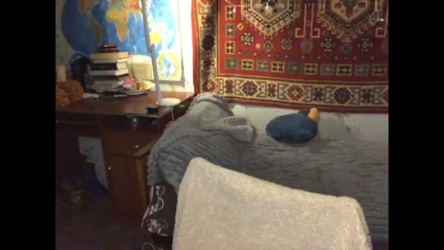 Gallery image thumbnail from Sia_A's myfreecams stream on, 12/26/2024, 21:17 image 4 of 20