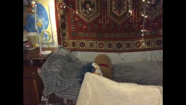 Gallery image thumbnail from Sia_A's myfreecams stream on, 12/28/2024, 21:49 image 17 of 20