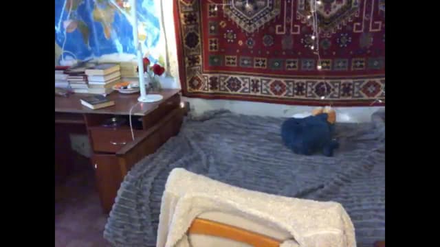 Gallery image thumbnail from Sia_A's myfreecams stream on, 01/06/2025, 10:25 image 7 of 20