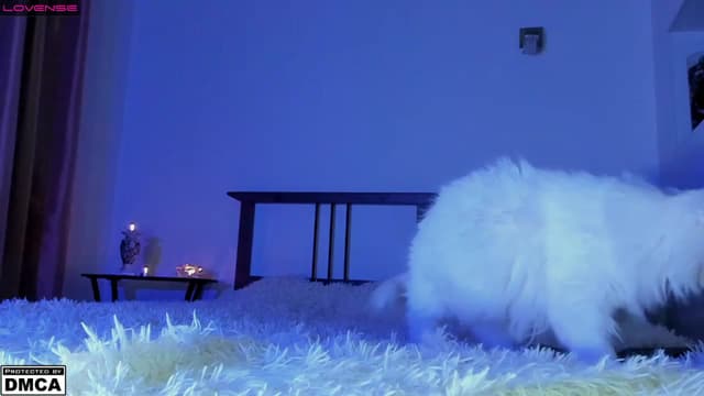 Gallery image thumbnail from SonMi's myfreecams stream on, 04/20/2023, 12:43 image 16 of 20