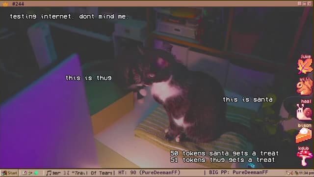 Gallery image thumbnail from TERRA's myfreecams stream on, 11/05/2024, 04:58 image 12 of 20