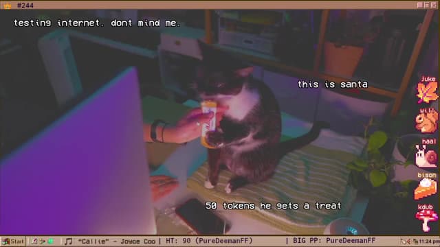 Gallery image thumbnail from TERRA's myfreecams stream on, 11/05/2024, 04:58 image 8 of 20