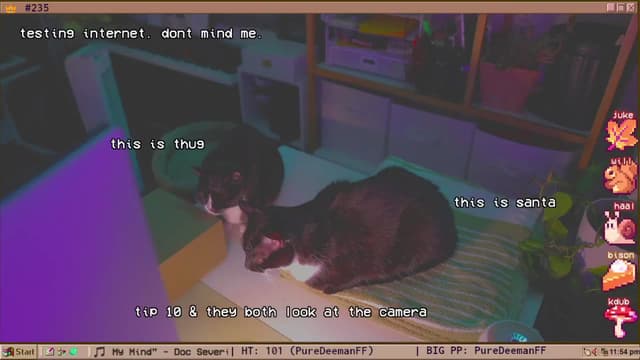 Gallery image thumbnail from TERRA's myfreecams stream on, 11/05/2024, 04:58 image 20 of 20