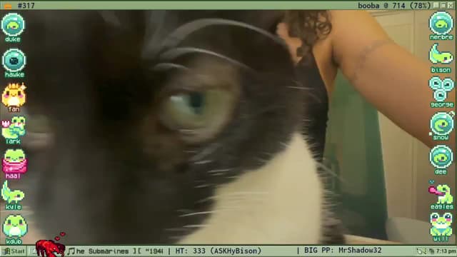 Gallery image thumbnail from TERRA's myfreecams stream on, 03/29/2025, 24:18 image 4 of 20