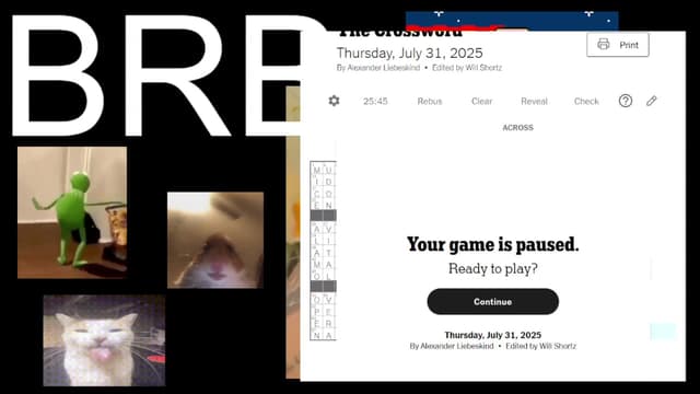 Gallery image thumbnail from TERRA's myfreecams stream on, 08/01/2025, 02:50 image 16 of 20