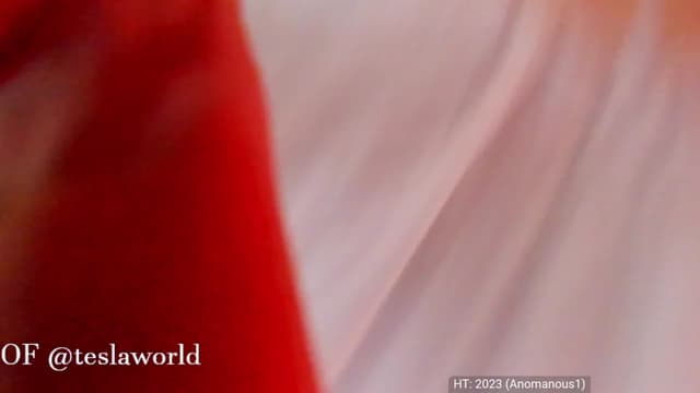Gallery image thumbnail from Tesla's myfreecams stream on, 01/01/2023, 07:10 image 16 of 20