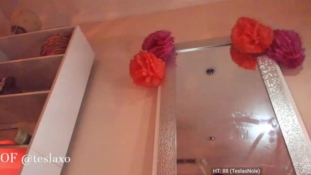Gallery image thumbnail from Tesla's myfreecams stream on, 07/28/2023, 03:27 image 9 of 20