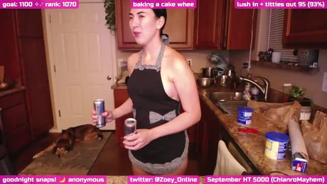 Gallery image thumbnail from Zobot's myfreecams stream on, 09/20/2024, 06:24 image 16 of 20