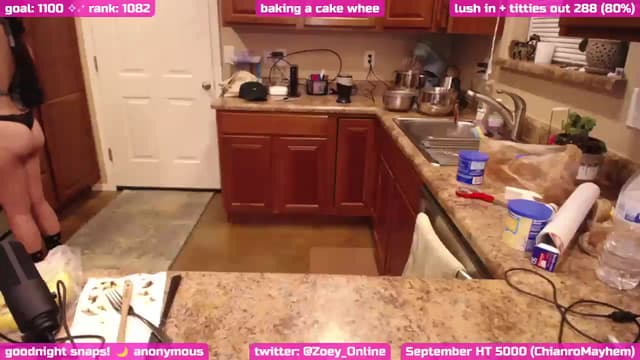 Gallery image thumbnail from Zobot's myfreecams stream on, 09/20/2024, 06:24 image 10 of 20