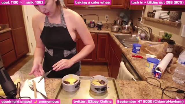 Gallery image thumbnail from Zobot's myfreecams stream on, 09/20/2024, 06:24 image 9 of 20