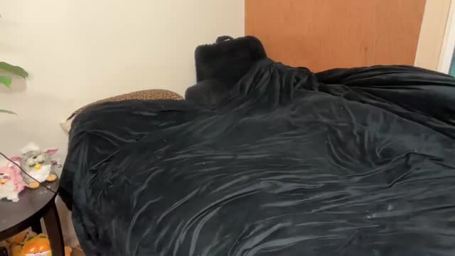 Gallery image thumbnail from bec69's myfreecams stream on, 12/25/2025, 24:11 image 18 of 20