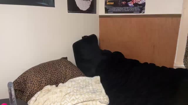 Gallery image thumbnail from bec69's myfreecams stream on, 02/23/2026, 24:27 image 12 of 20