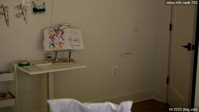 Gallery image thumbnail from dais_'s myfreecams stream on, 07/05/2025, 04:54 image 20 of 20