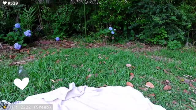 Gallery image thumbnail from el_xo's myfreecams stream on, 05/24/2025, 23:24 image 10 of 20