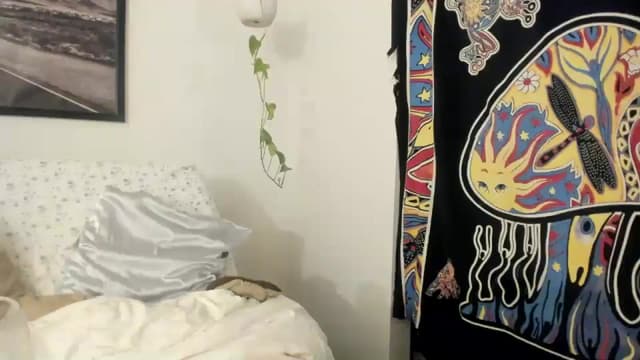 Gallery image thumbnail from imava's myfreecams stream on, 12/02/2023, 16:11 image 13 of 20