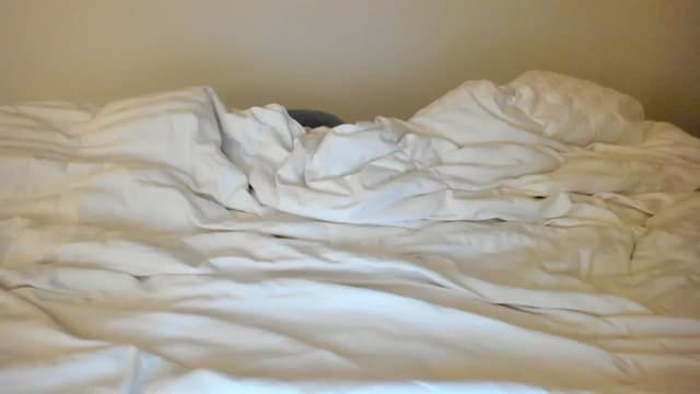 Gallery image thumbnail from imava's myfreecams stream on, 12/07/2023, 02:38 image 11 of 20