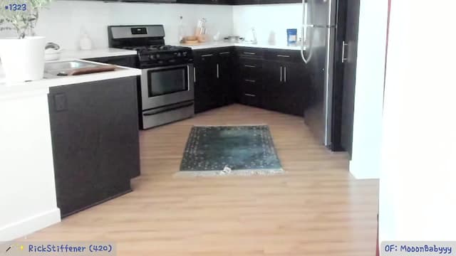Gallery image thumbnail from litty's myfreecams stream on, 07/02/2024, 03:17 image 2 of 20
