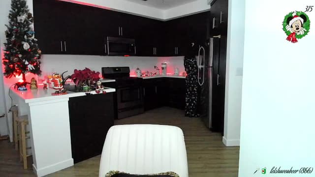 Gallery image thumbnail from litty's myfreecams stream on, 12/29/2025, 02:07 image 17 of 20