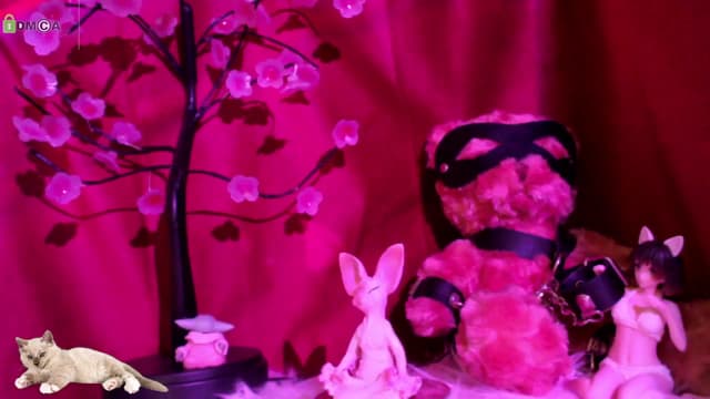 Gallery image thumbnail from meows's myfreecams stream on, 05/04/2024, 05:06 image 14 of 20
