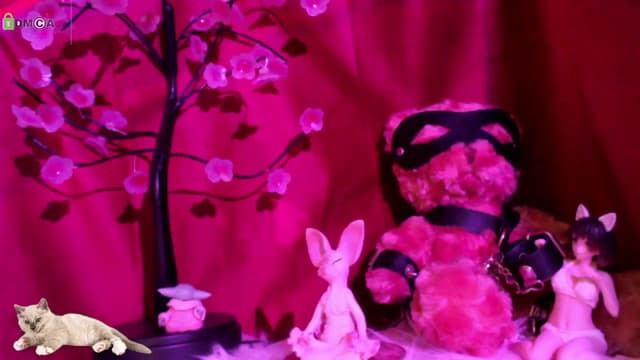 Gallery image thumbnail from meows's myfreecams stream on, 05/04/2024, 05:06 image 10 of 20