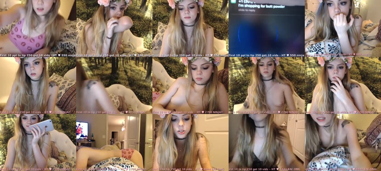 Kitten-MFC-201604270103_m.jpg