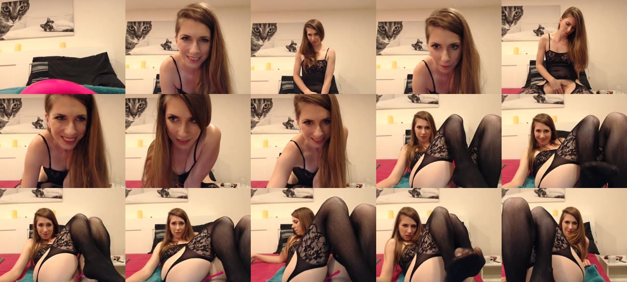 cat_on_show-MFC-201805071907_m.jpg
