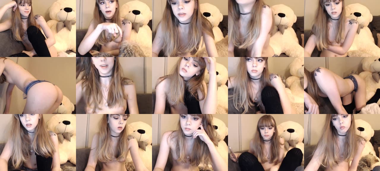 Kitten-MFC-201704010149_m.jpg